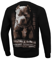 Pit Bull Bluza Bez Kaptura Mugshot Crewneck Black