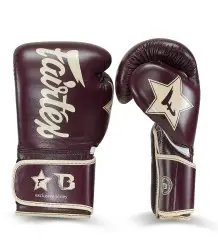 Fairtex Booster Rękawice Bokserskie FXB BG V2 BR/CR