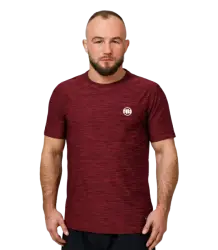 Pit Bull T-shirt Koszulka Casual Sport Small Logo Burhund Melange