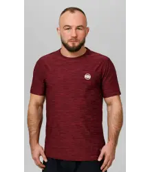 Pit Bull T-shirt Koszulka Casual Sport Small Logo Burhund Melange