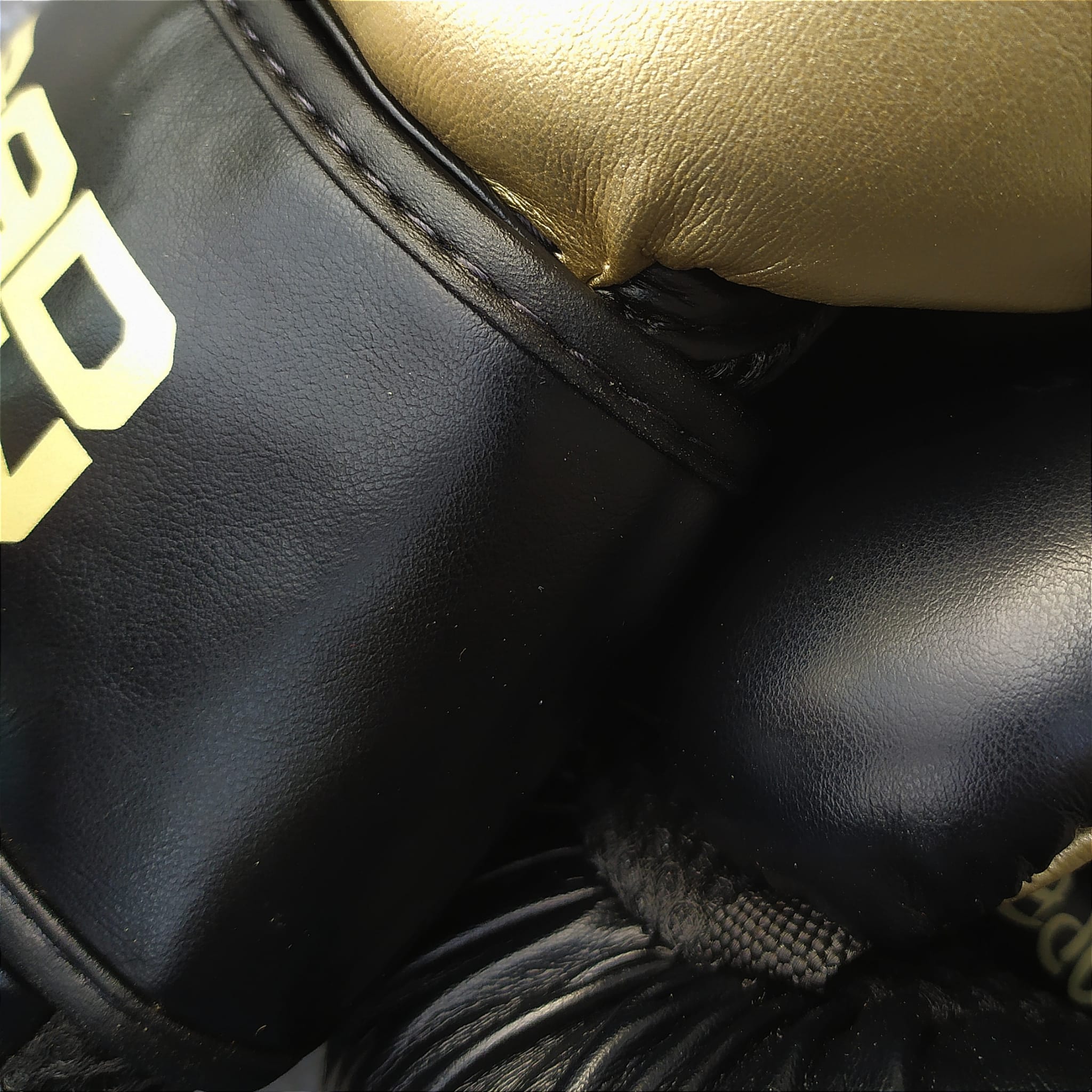 bad boy mma