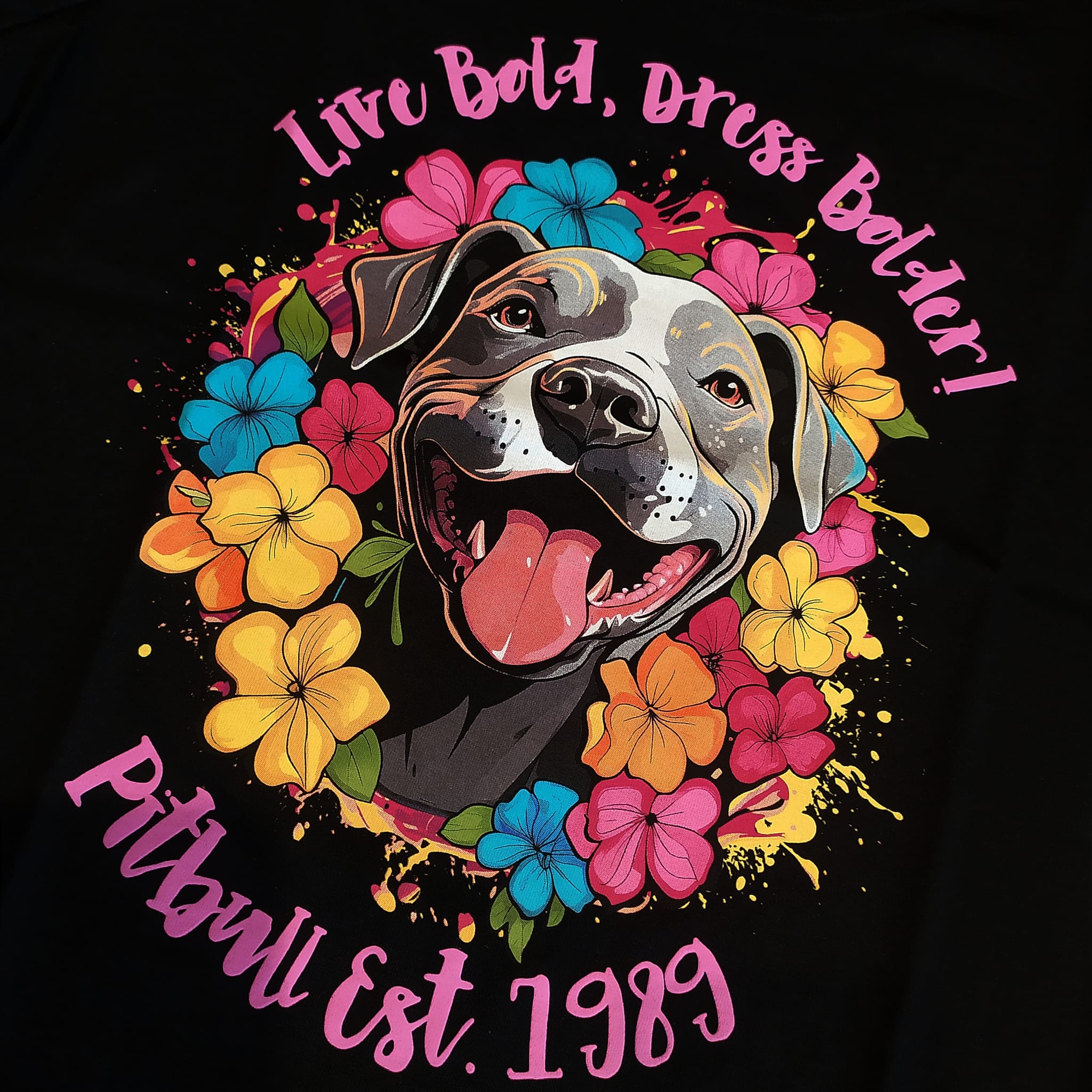 pit bull kolekcja